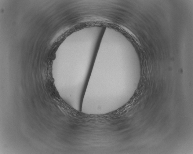 X0000074000775200609111557