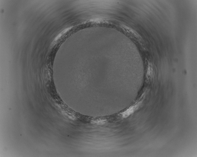 X0000074000776200609111557