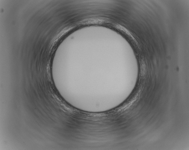 X0000074000778200609111557