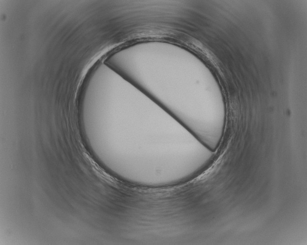 X0000074000779200609111557