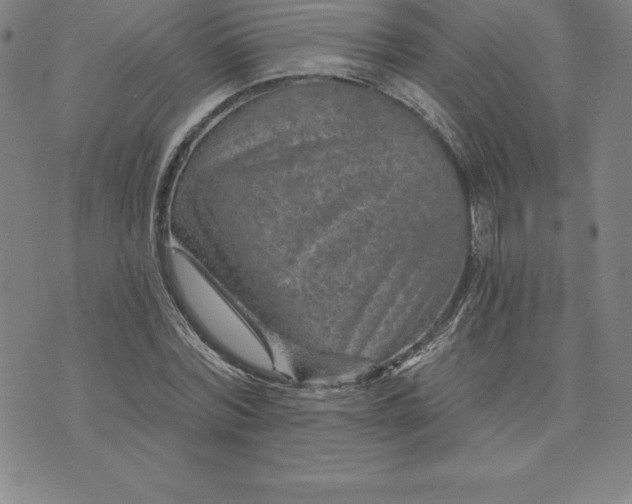 X0000074000780200609111557