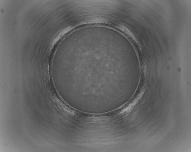 X0000074000781200609111557