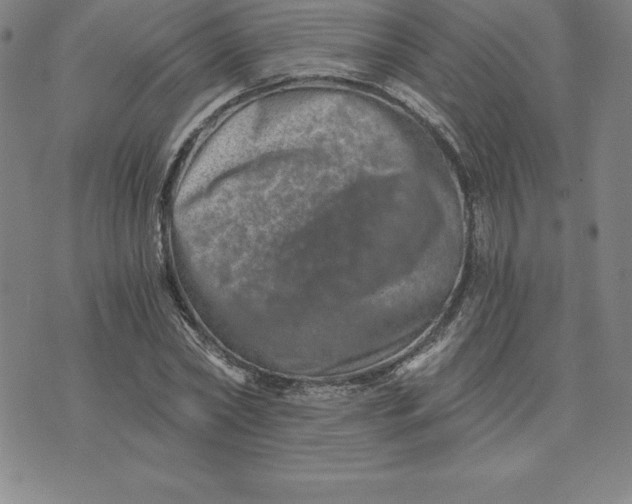 X0000074000782200609111557