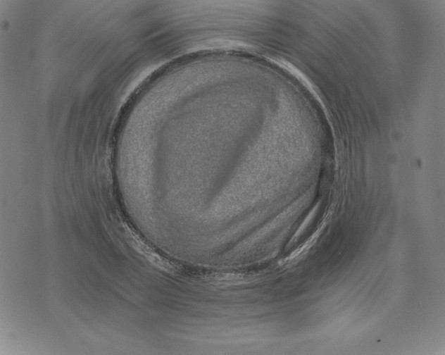 X0000074000783200609111557