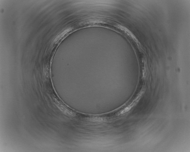 X0000074000785200609111557