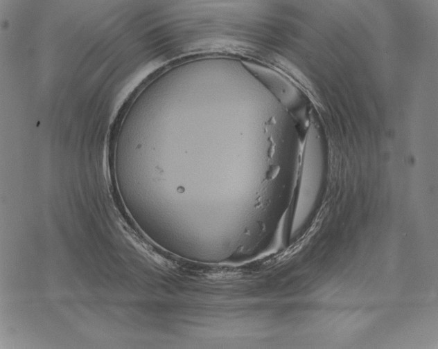 X0000074000788200609111557