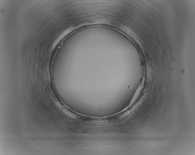 X0000074000789200609111557