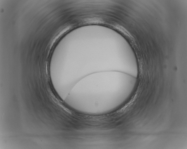 X0000074000790200609111557