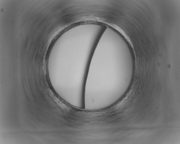 X0000074000791200609111557