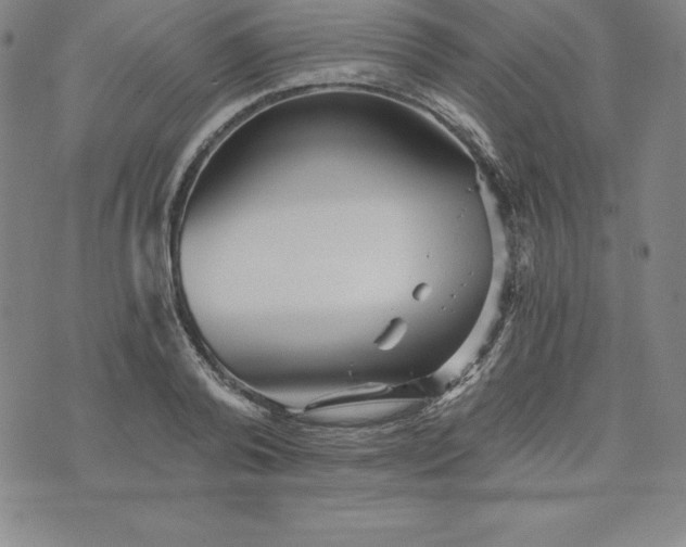 X0000074000792200609111557