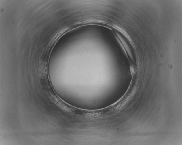 X0000074000793200609111557