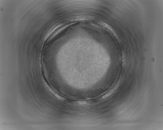 X0000074000794200609111557