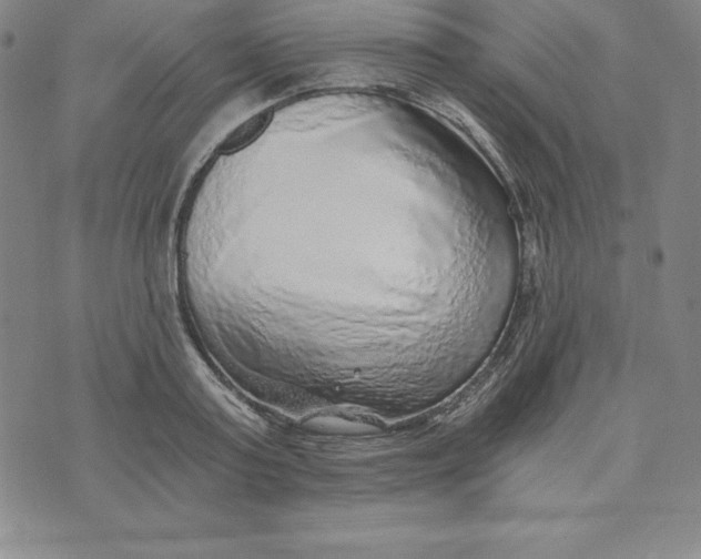 X0000074000795200609111557