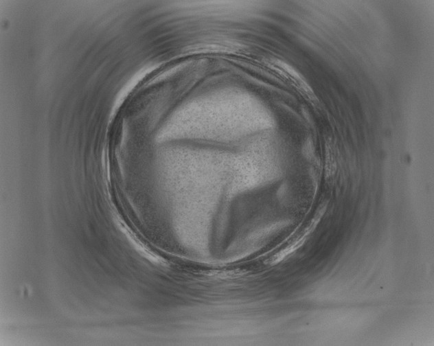 X0000074000796200609111557