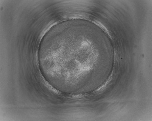 X0000074000798200609111557