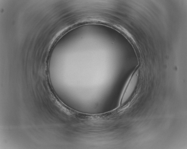 X0000074000799200609111557