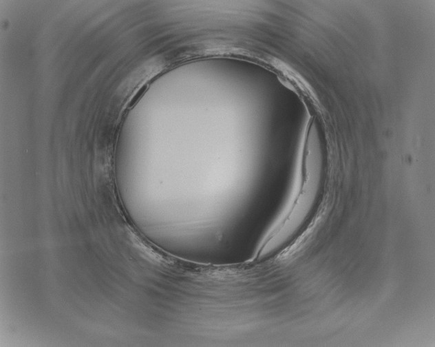 X0000074000801200609111557