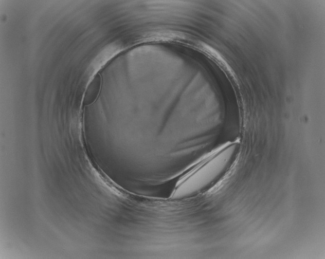 X0000074000802200609111557