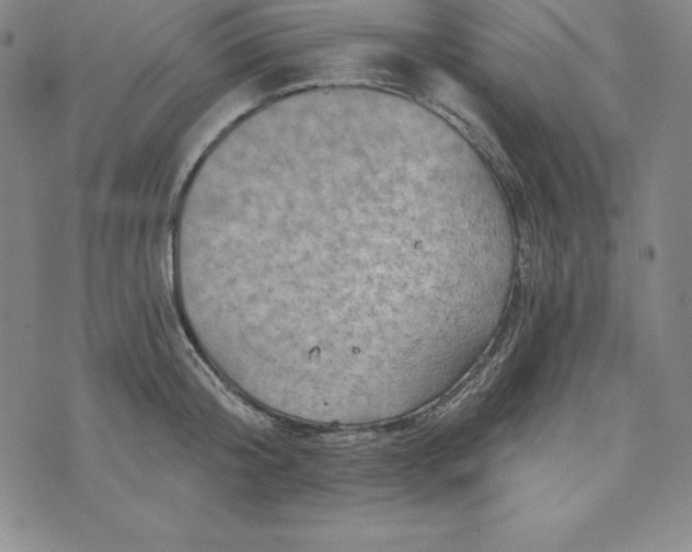 X0000074000804200609111557