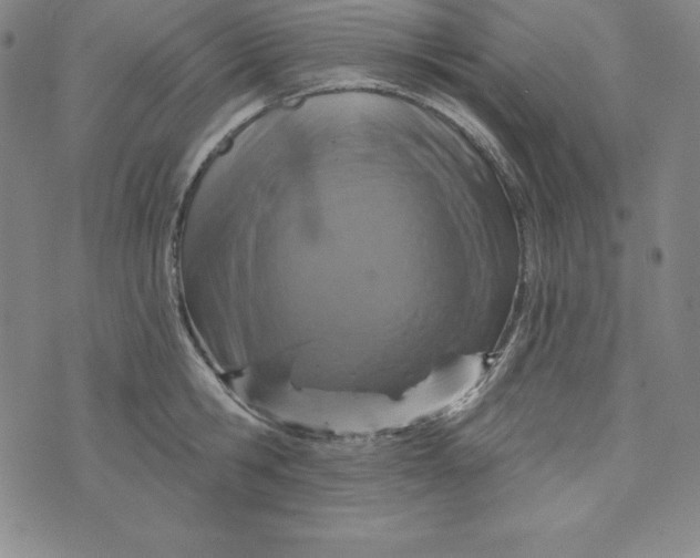 X0000074000806200609111557