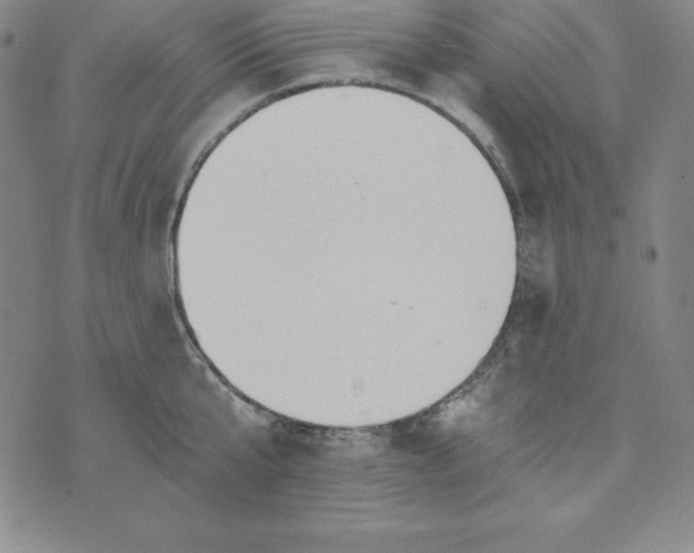 X0000074000807200609111557