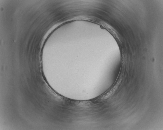 X0000074000808200609111557