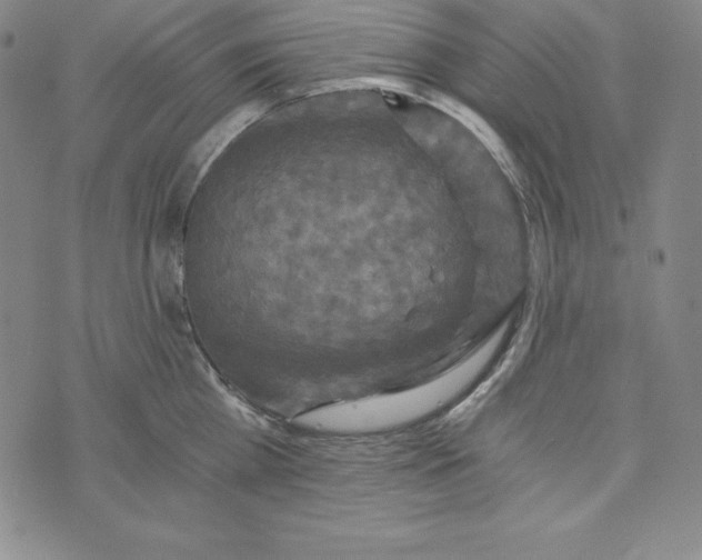 X0000074000809200609111557