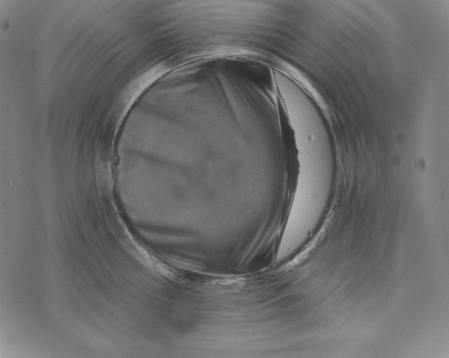 X0000074000810200609111557