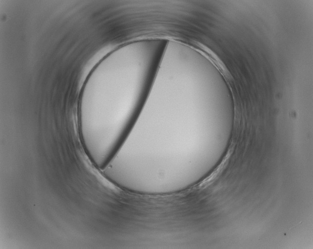 X0000074000812200609111557