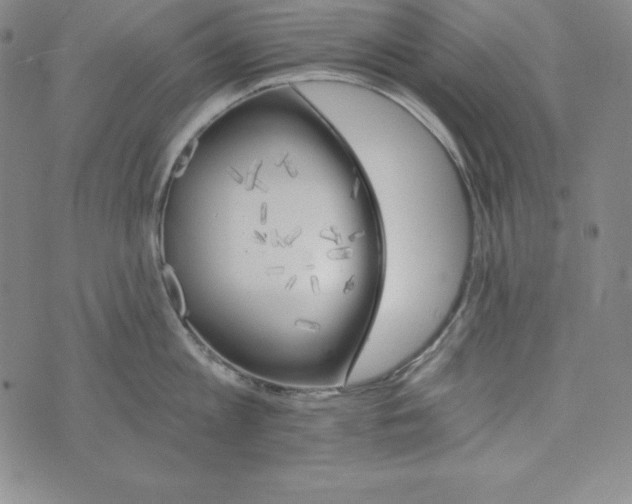 X0000074000813200609111557