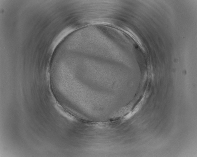 X0000074000814200609111557