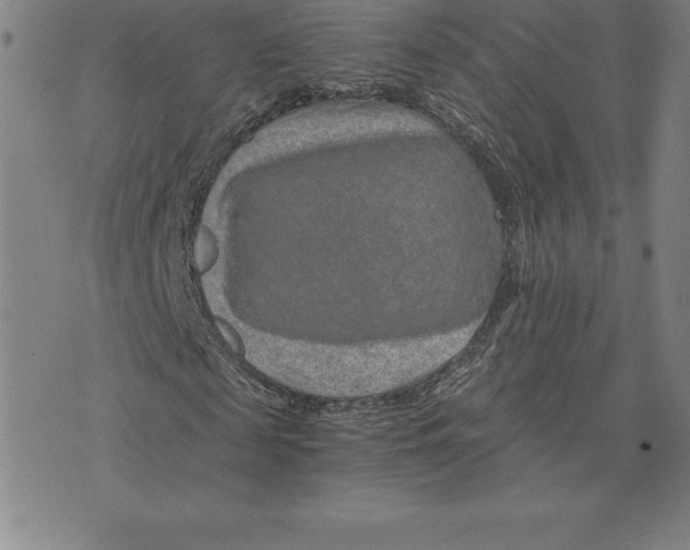 X0000074000817200609111556