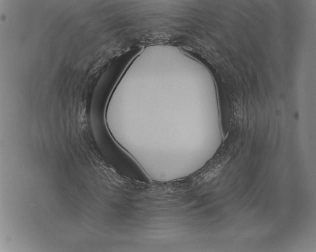 X0000074000818200609111556