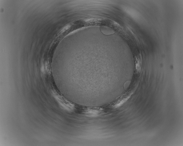 X0000074000819200609111556