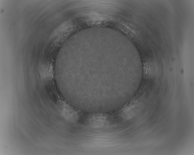 X0000074000820200609111556