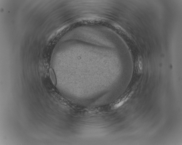 X0000074000822200609111556