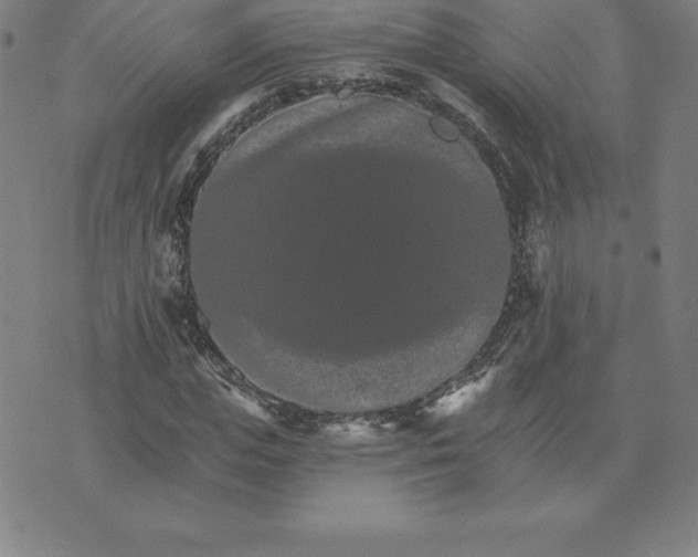 X0000074000823200609111556