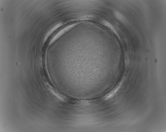 X0000074000827200609111556