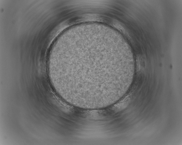 X0000074000828200609111556