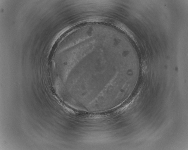 X0000074000829200609111556