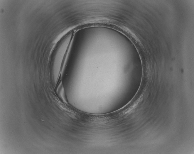 X0000074000830200609111556