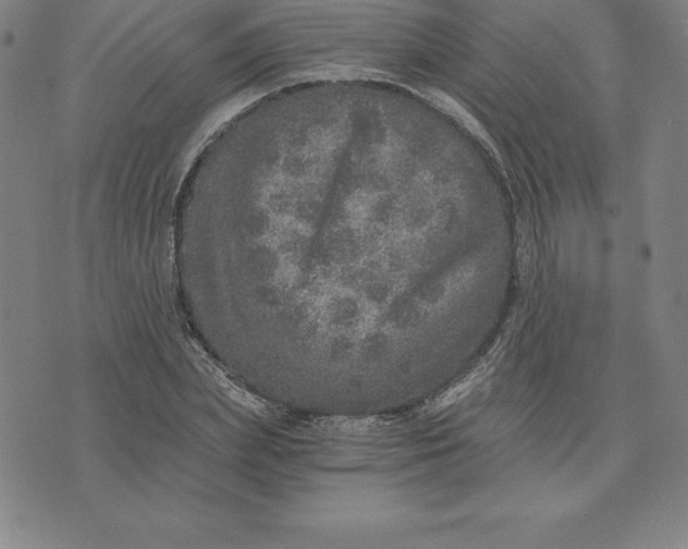 X0000074000831200609111556