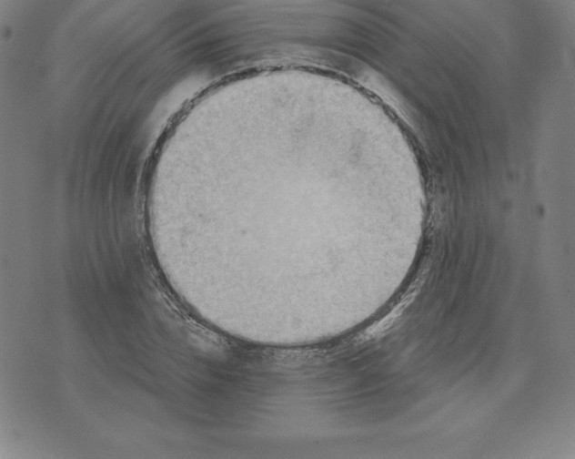 X0000074000832200609111556