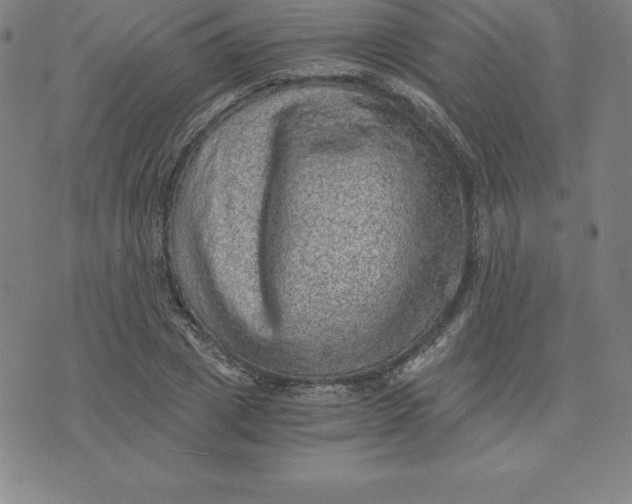 X0000074000833200609111556