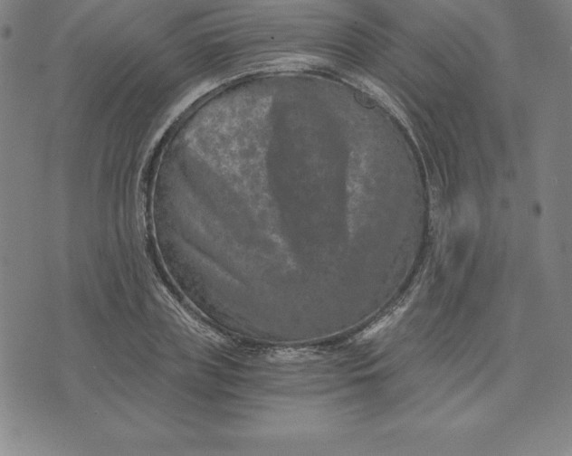 X0000074000835200609111556