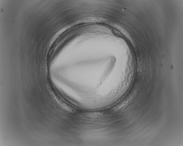 X0000074000837200609111556