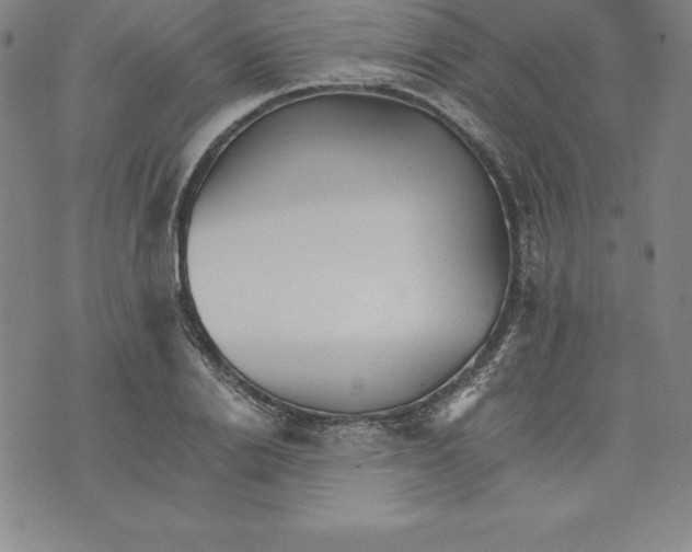 X0000074000838200609111556