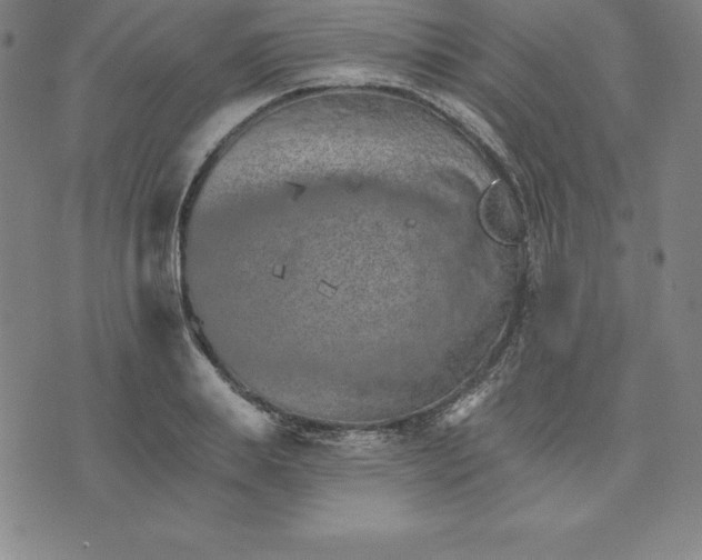 X0000074000839200609111556