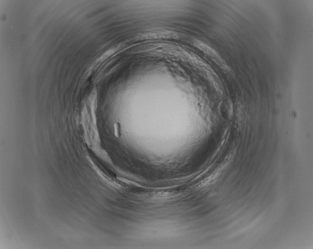 X0000074000841200609111556