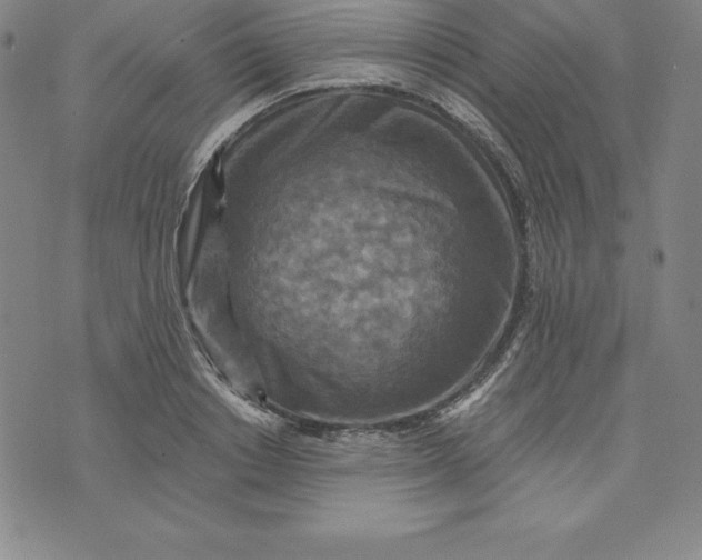 X0000074000842200609111556